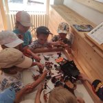 phoca_thumb_m_ic zmeck 8 Fotogalerie